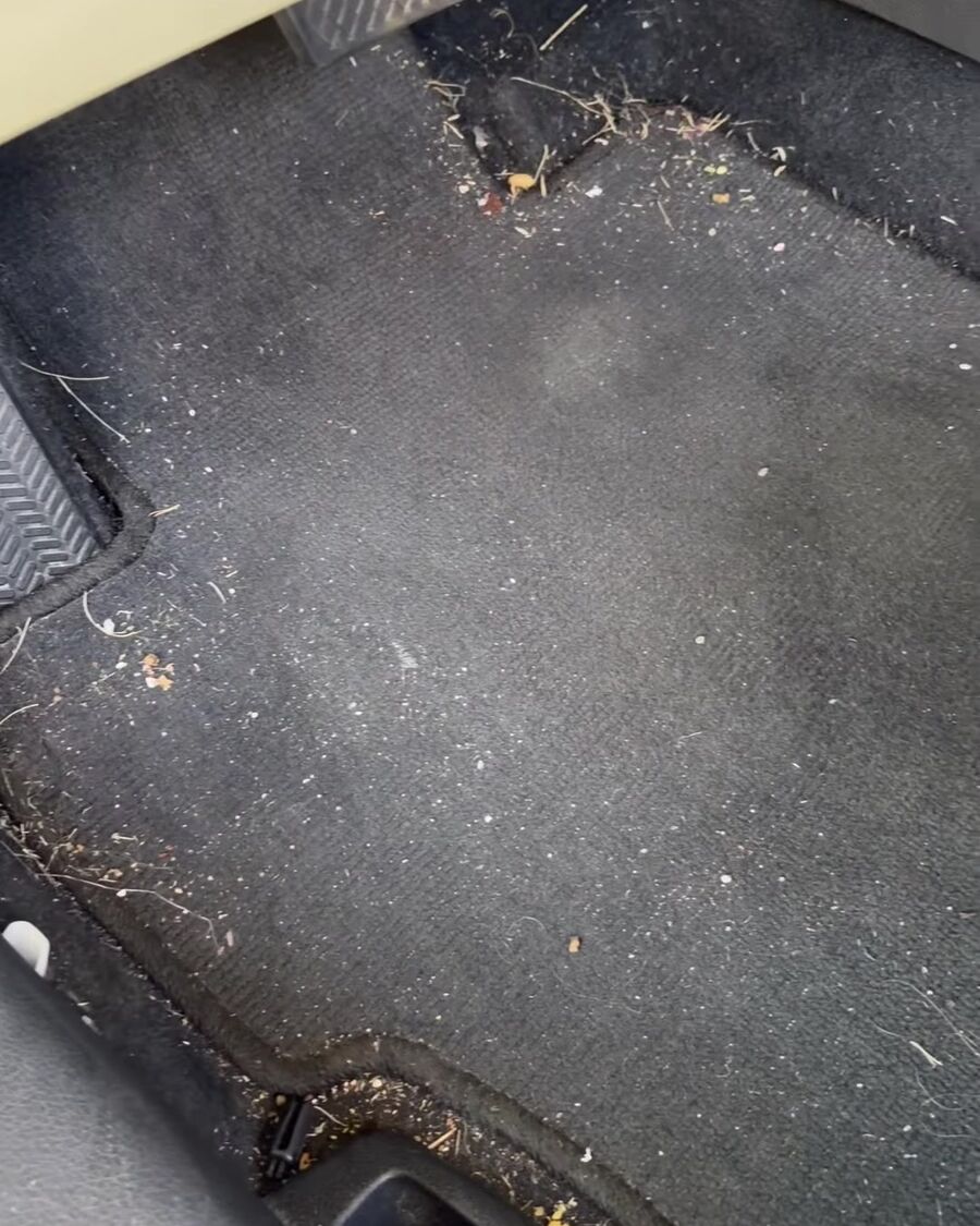 Driver's side carpet covered in dirt, leaves and debris